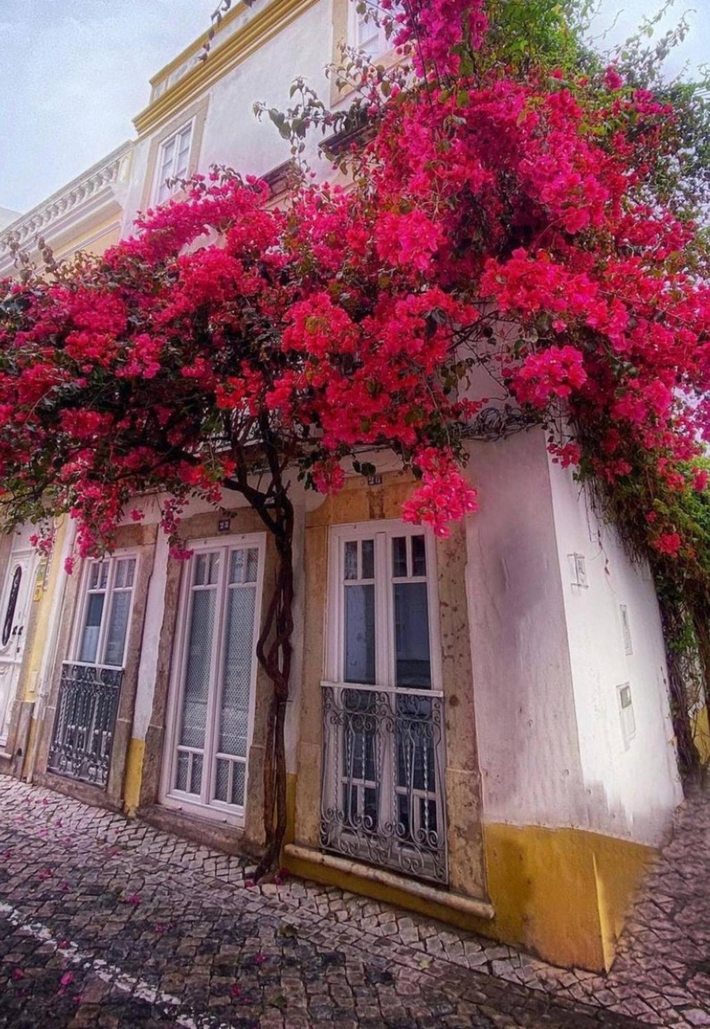 Chic Suite Sequa In Taviras Historical Centre Luaran gambar